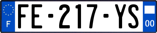 FE-217-YS