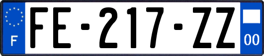 FE-217-ZZ