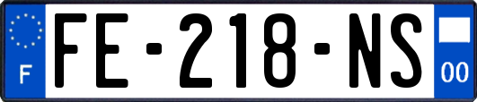 FE-218-NS