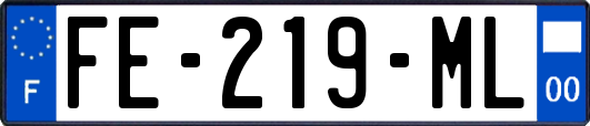 FE-219-ML