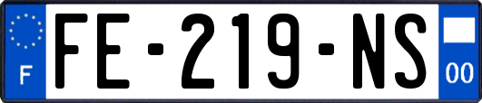 FE-219-NS