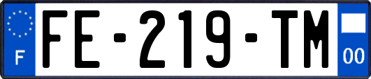FE-219-TM