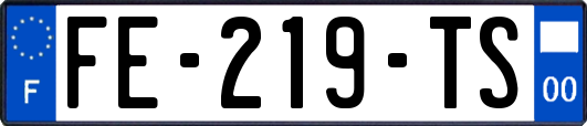 FE-219-TS