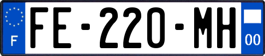 FE-220-MH