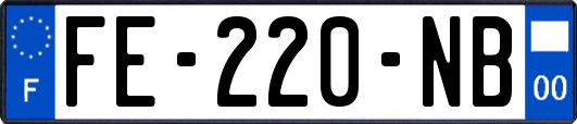 FE-220-NB