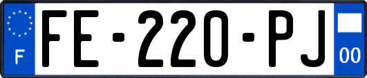 FE-220-PJ