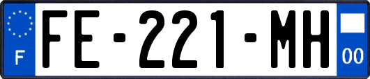 FE-221-MH