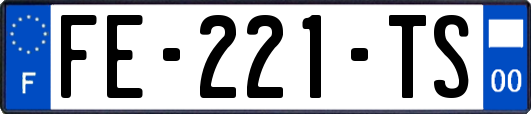 FE-221-TS