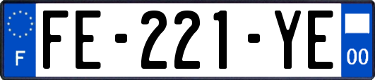 FE-221-YE