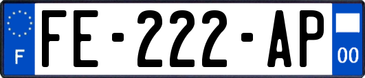 FE-222-AP