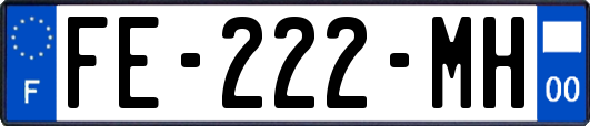 FE-222-MH