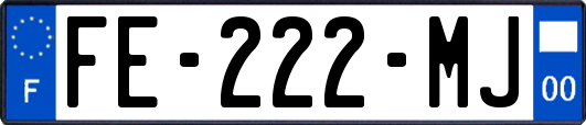 FE-222-MJ