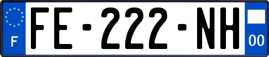 FE-222-NH