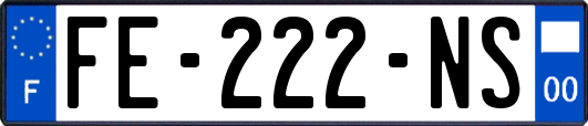 FE-222-NS