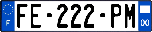 FE-222-PM