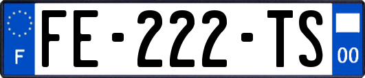 FE-222-TS