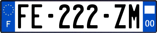 FE-222-ZM