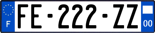 FE-222-ZZ