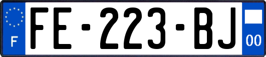 FE-223-BJ