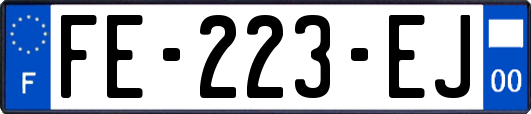 FE-223-EJ