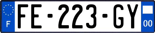 FE-223-GY