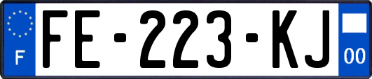 FE-223-KJ