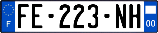 FE-223-NH