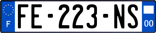 FE-223-NS