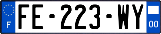 FE-223-WY
