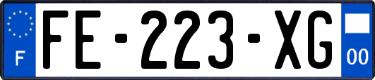 FE-223-XG