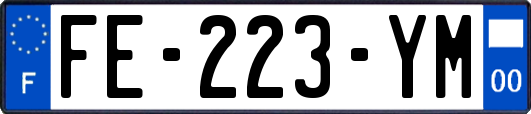 FE-223-YM