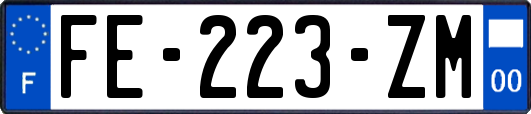 FE-223-ZM