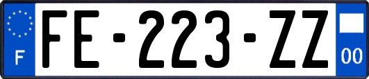 FE-223-ZZ