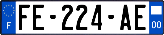 FE-224-AE