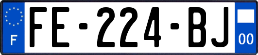 FE-224-BJ