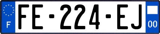 FE-224-EJ