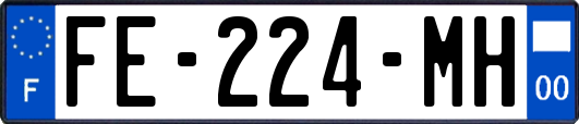FE-224-MH