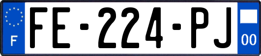 FE-224-PJ