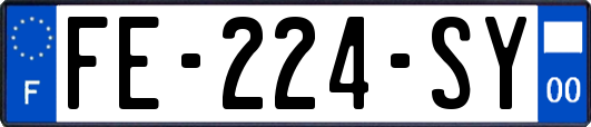 FE-224-SY