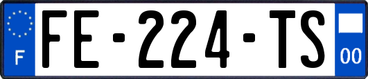 FE-224-TS