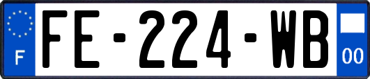 FE-224-WB