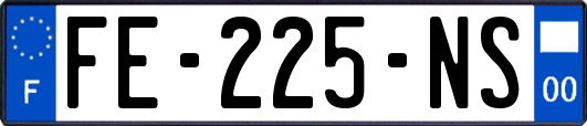 FE-225-NS