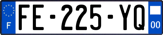 FE-225-YQ