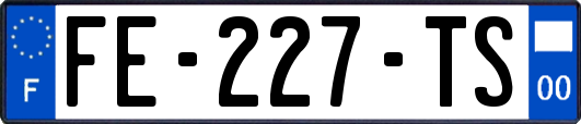 FE-227-TS
