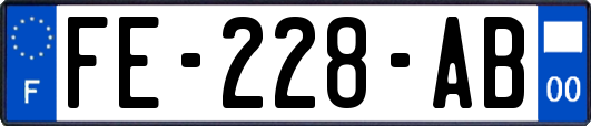 FE-228-AB