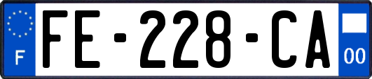 FE-228-CA