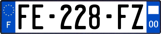 FE-228-FZ