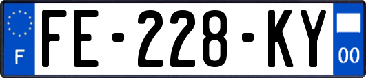 FE-228-KY