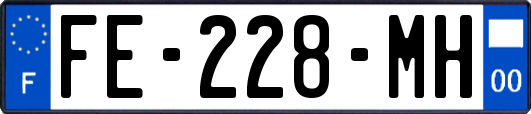 FE-228-MH
