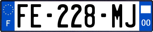FE-228-MJ